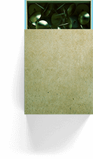 left-image